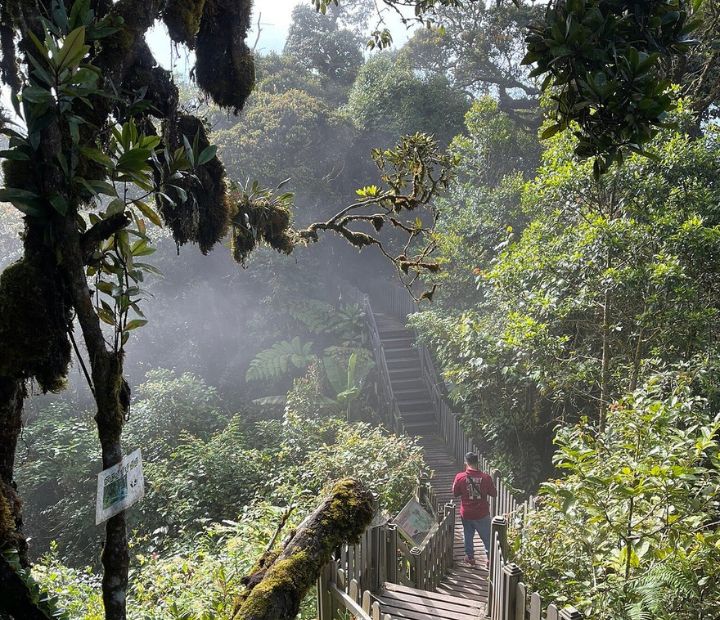 Taman Negara Jungle Safari